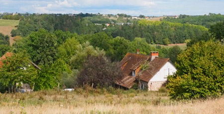La Ferme du Rouvet, élevage en Corrèze